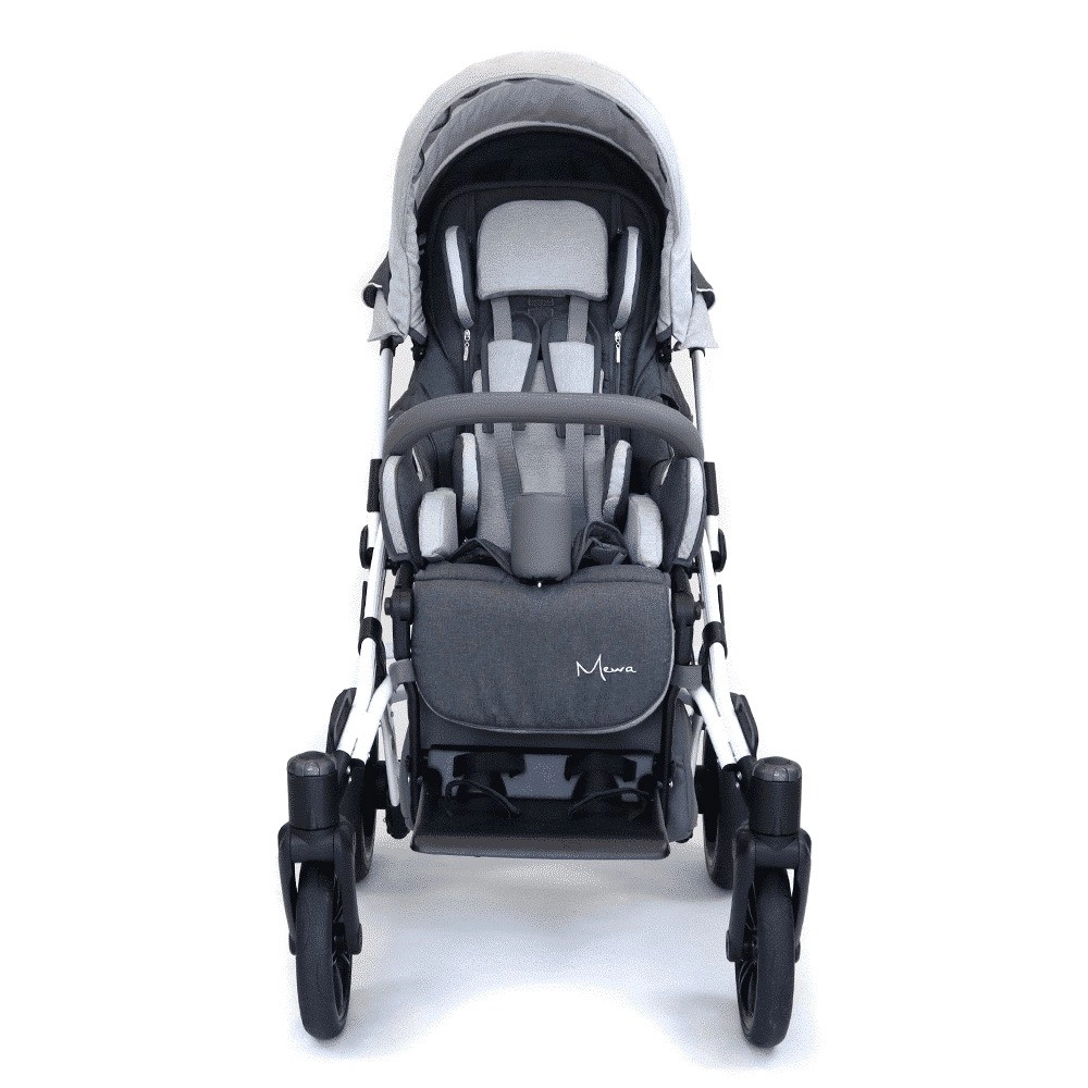 Poylin Mewa Engelli Çocuk Puseti