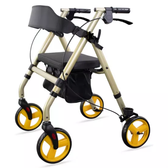 Poylin P581 Ekonomik Rollatör